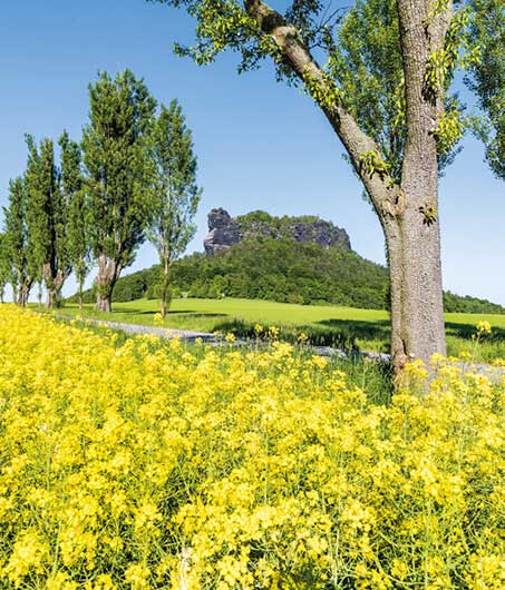 Lilienstein im Frühling