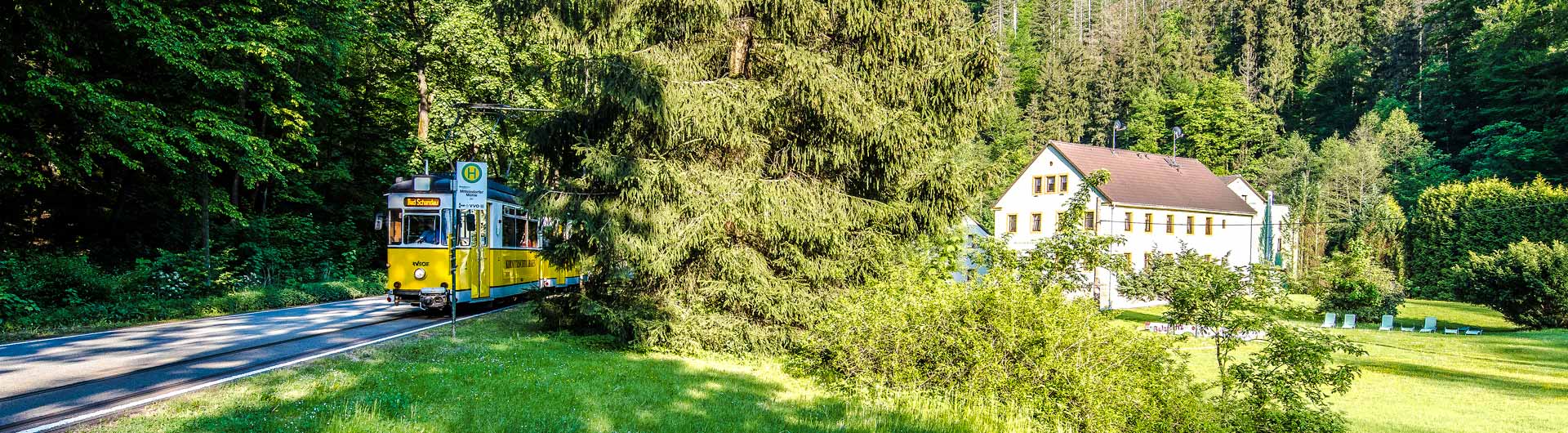 Kirnitzschtalbahn fährt an der Mittelndorfer Mühle vorbei