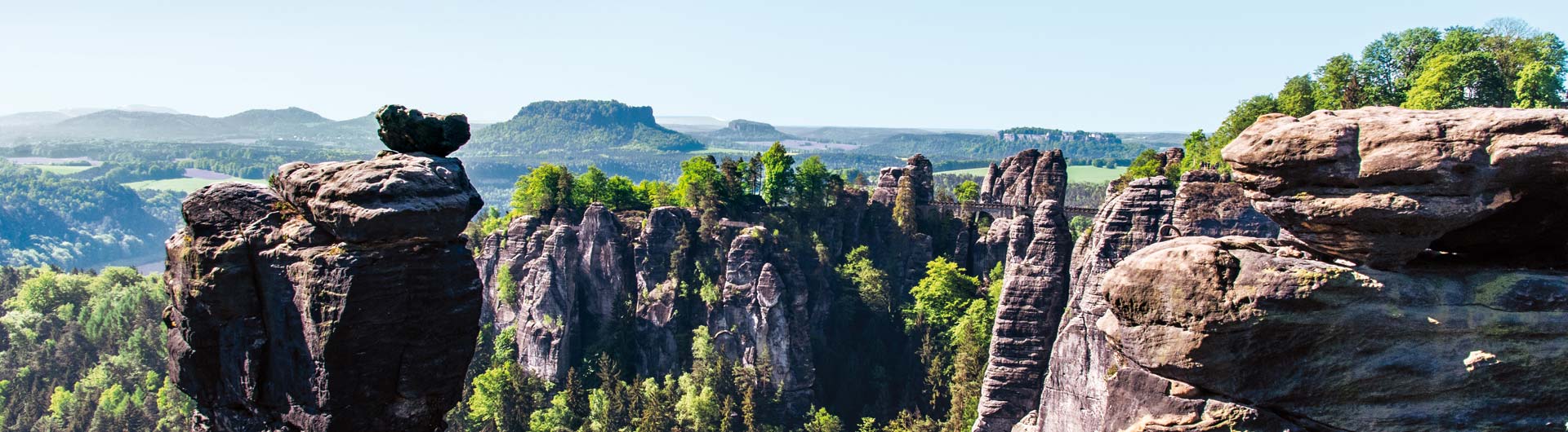 Wehlnadel im Basteigebiet